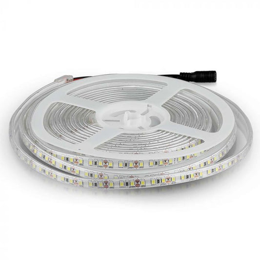 LED STRIP LIGHT 3528 SMD 120LEDs CW 12V 800lm/m 8W/M IP65