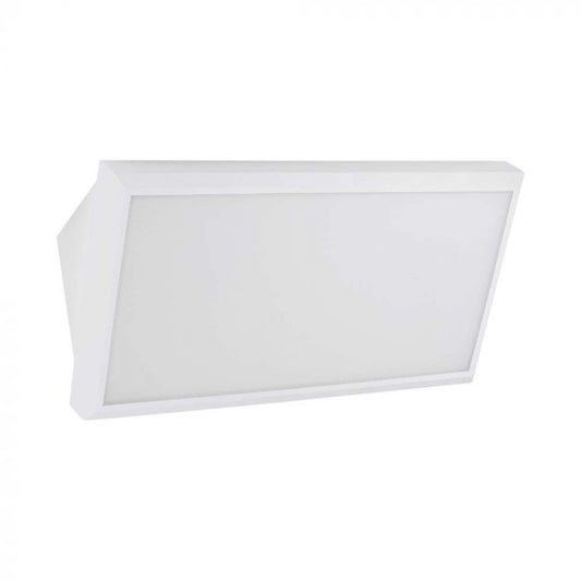 LED OUTDOOR WALL LIGHT WHITE 20W CW 2045lm 90° 319x114x170mm IP65